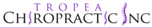 logo 804750592 1 300x57